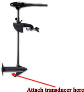 Trolling motor transducer location