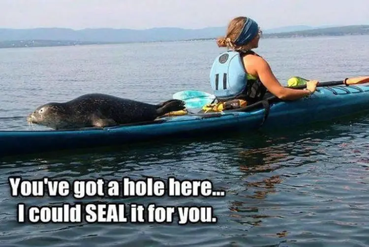50 Fun Kayak Puns & Jokes. Canoe Believe it?! Flat Bottom Boat World