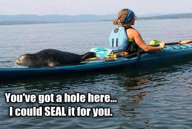 Kayaking puns