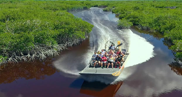 Everglades airboat tour