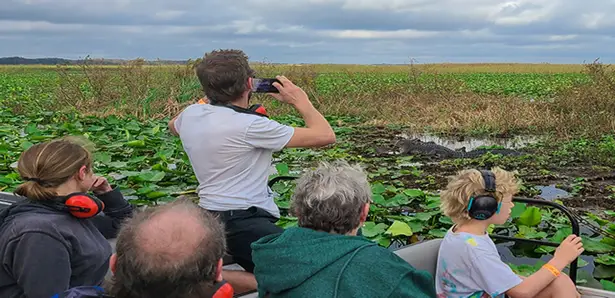 Wildlife spotting on airboat